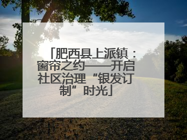 肥西县上派镇：窗帘之约——开启社区治理“银发订制”时光