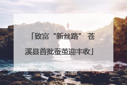 致富“新丝路” 苍溪县首批蚕茧迎丰收