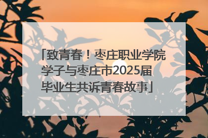 致青春！枣庄职业学院学子与枣庄市2025届毕业生共诉青春故事
