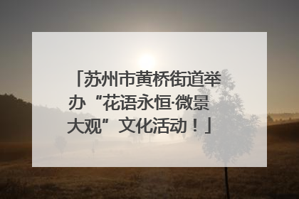 苏州市黄桥街道举办“花语永恒·微景大观”文化活动！