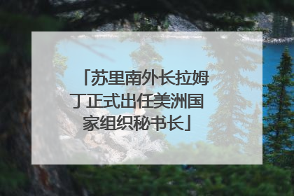 苏里南外长拉姆丁正式出任美洲国家组织秘书长
