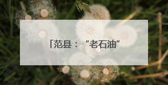 范县：“老石油”化身“银发先锋”情暖“最后一公里”