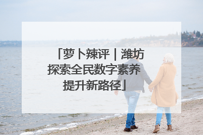 萝卜辣评｜潍坊探索全民数字素养提升新路径