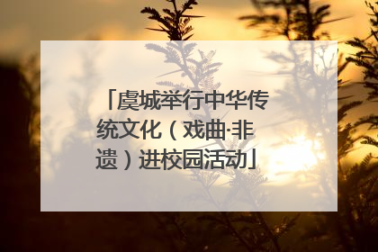 虞城举行中华传统文化（戏曲·非遗）进校园活动