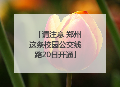 请注意 郑州这条校园公交线路20日开通
