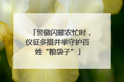 警徽闪耀农忙时，仪征多措并举守护百姓“粮袋子”