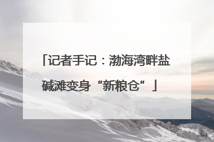 记者手记：渤海湾畔盐碱滩变身“新粮仓”