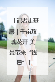 记者走基层｜千亩玫瑰花开 美景带来“钱景”