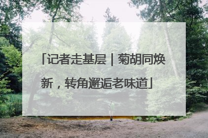 记者走基层｜菊胡同焕新，转角邂逅老味道