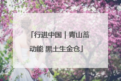 行进中国｜青山蓄动能 黑土生金仓