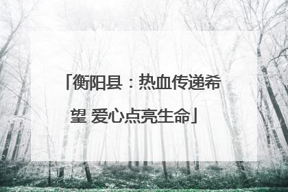 衡阳县：热血传递希望 爱心点亮生命