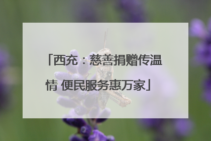 西充：慈善捐赠传温情 便民服务惠万家