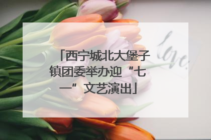 西宁城北大堡子镇团委举办迎“七一”文艺演出
