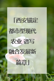 西安锚定都市型现代农业 谱写融合发展新篇章