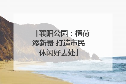 襄阳公园：植荷添新景 打造市民休闲好去处