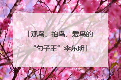 观鸟、拍鸟、爱鸟的“勺子王”李东明