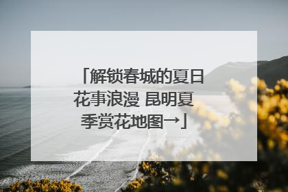 解锁春城的夏日花事浪漫 昆明夏季赏花地图→