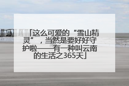 这么可爱的“雪山精灵”，当然是要好好守护啦——有一种叫云南的生活之365天