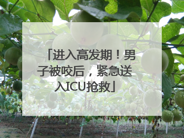 进入高发期！男子被咬后，紧急送入ICU抢救