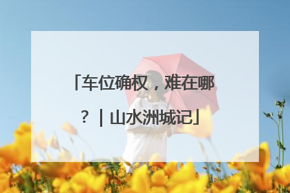 车位确权，难在哪？｜山水洲城记