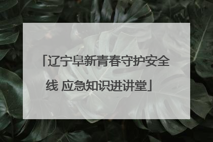 辽宁阜新青春守护安全线 应急知识进讲堂