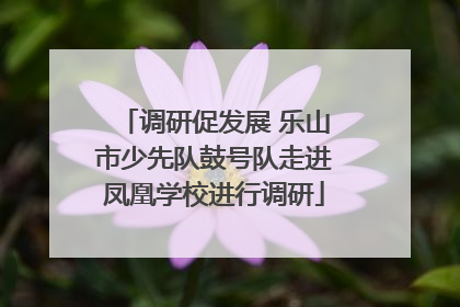 调研促发展 乐山市少先队鼓号队走进凤凰学校进行调研