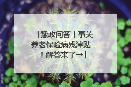 豫政问答丨事关养老保险病残津贴！解答来了→