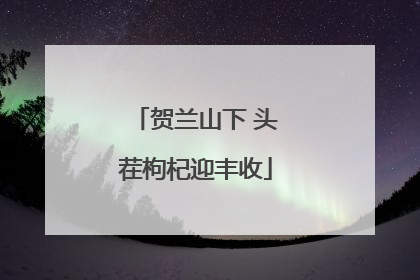 贺兰山下 头茬枸杞迎丰收