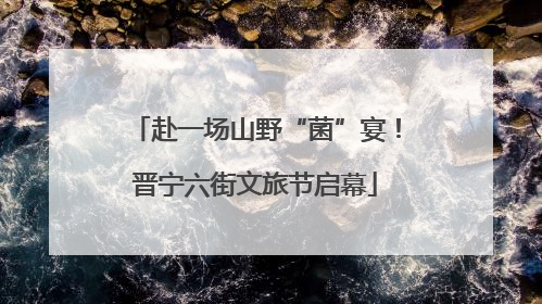 赴一场山野“菌”宴！晋宁六街文旅节启幕