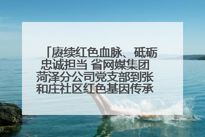 赓续红色血脉、砥砺忠诚担当 省网媒集团菏泽分公司党支部到张和庄社区红色基因传承馆开展主题党日活动