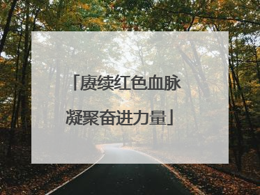 赓续红色血脉 凝聚奋进力量