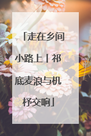走在乡间小路上丨祁底麦浪与机杼交响