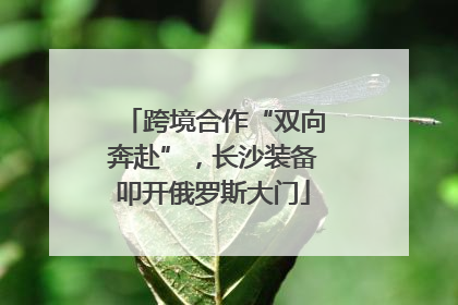 跨境合作“双向奔赴”，长沙装备叩开俄罗斯大门
