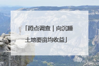 蹲点调查｜向沉睡土地要亩均收益