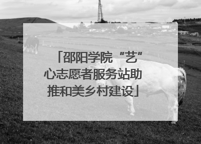 邵阳学院“艺”心志愿者服务站助推和美乡村建设