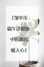 邹平市：端午送健康 中医惠民暖人心