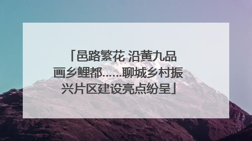 邑路繁花 沿黄九品 画乡鲤都……聊城乡村振兴片区建设亮点纷呈