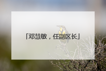邓慧敏，任副区长