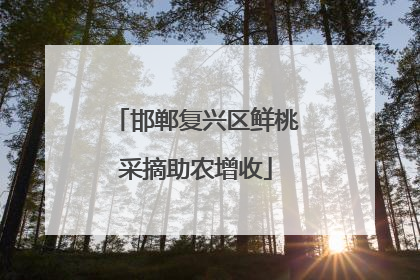 邯郸复兴区鲜桃采摘助农增收