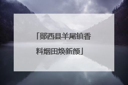 郧西县羊尾镇香料烟田焕新颜