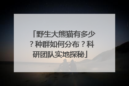 野生大熊猫有多少？种群如何分布？科研团队实地探秘