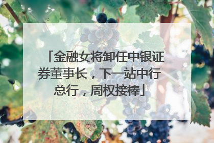 金融女将卸任中银证券董事长，下一站中行总行，周权接棒