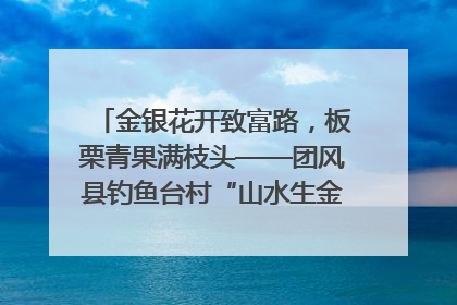 金银花开致富路，板栗青果满枝头——团风县钓鱼台村“山水生金”谱写共富新篇章