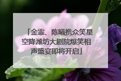 金霏、陈曦携众笑星空降潍坊大剧院爆笑相声盛宴即将开启