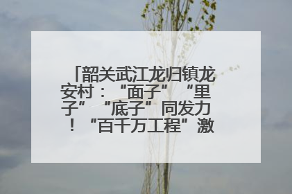 韶关武江龙归镇龙安村：“面子”“里子”“底子”同发力！“百千万工程”激活乡村新动能