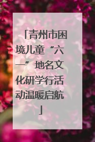 青州市困境儿童“六一”地名文化研学行活动温暖启航