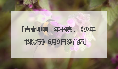 青春叩响千年书院，《少年书院行》6月9日晚首播