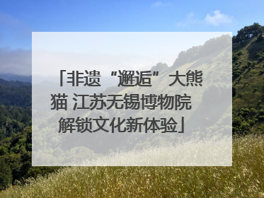 非遗“邂逅”大熊猫 江苏无锡博物院解锁文化新体验