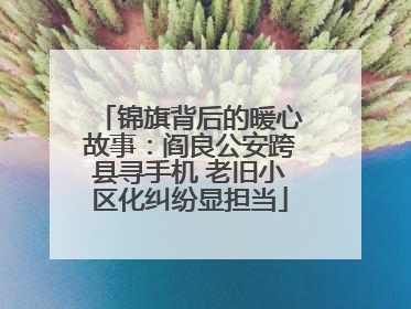 锦旗背后的暖心故事：阎良公安跨县寻手机 老旧小区化纠纷显担当