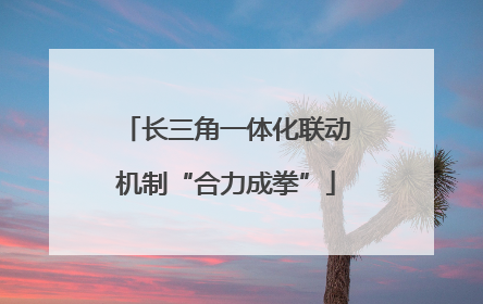 长三角一体化联动机制“合力成拳”